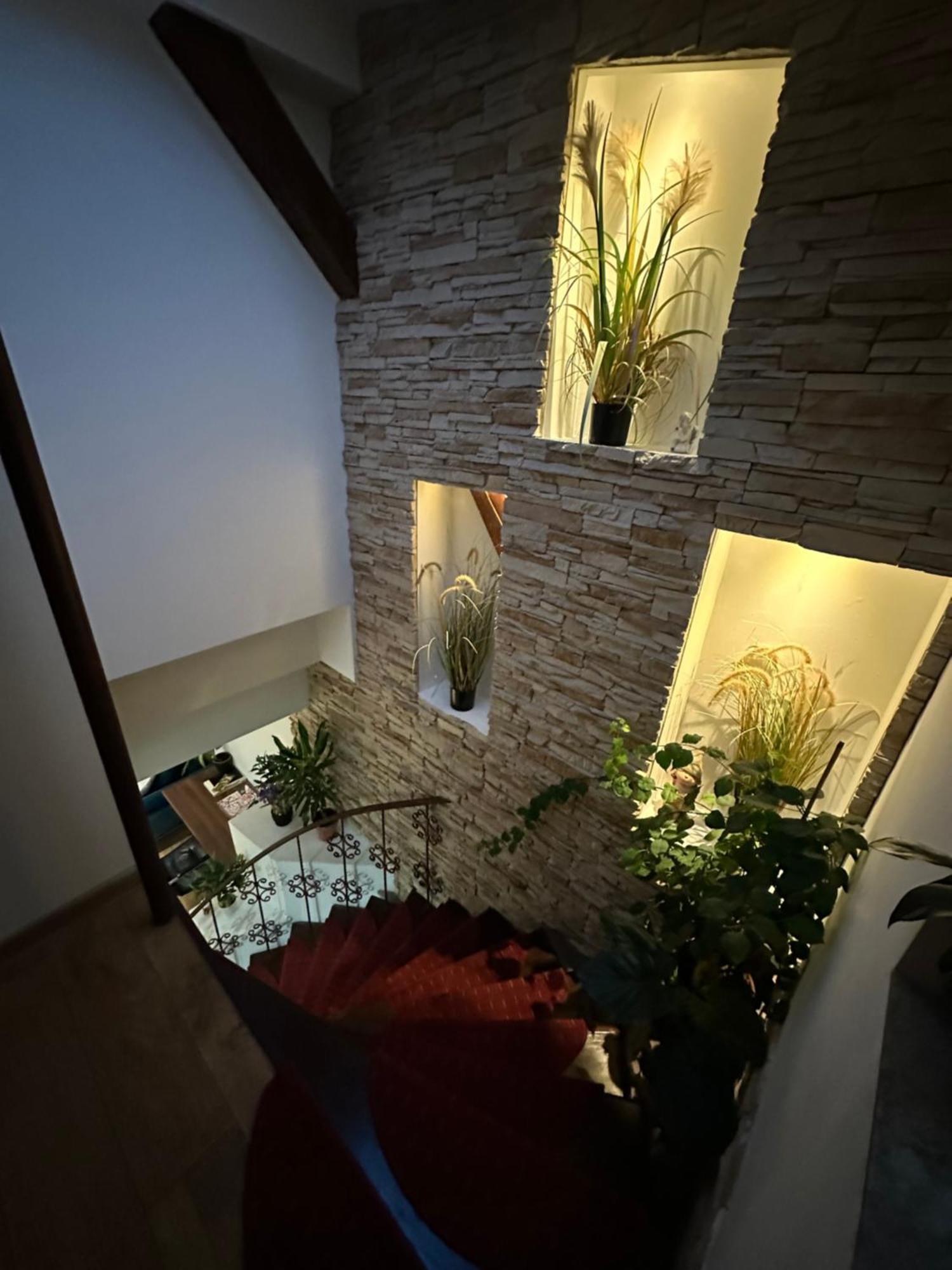 Grazia Apartment 티미쇼아라 외부 사진